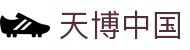 天博 (中国)体育官方网站-TIANBOSPORTS
